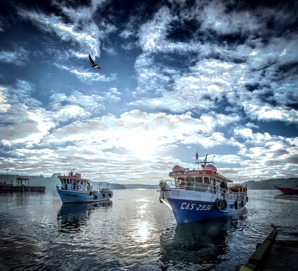 Lanchas. Puerto de Castro - Chiloé - Chile.