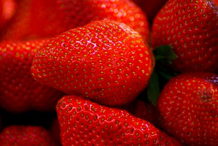 Red fruits dessert vitamins