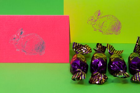 Frühlingsanfang spring awakening easter