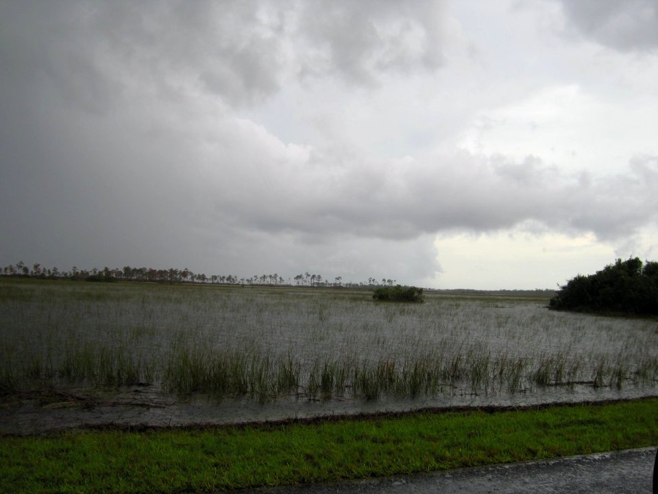 Hurricane Katrina & Wilma 2005 (15), NPSPhoto