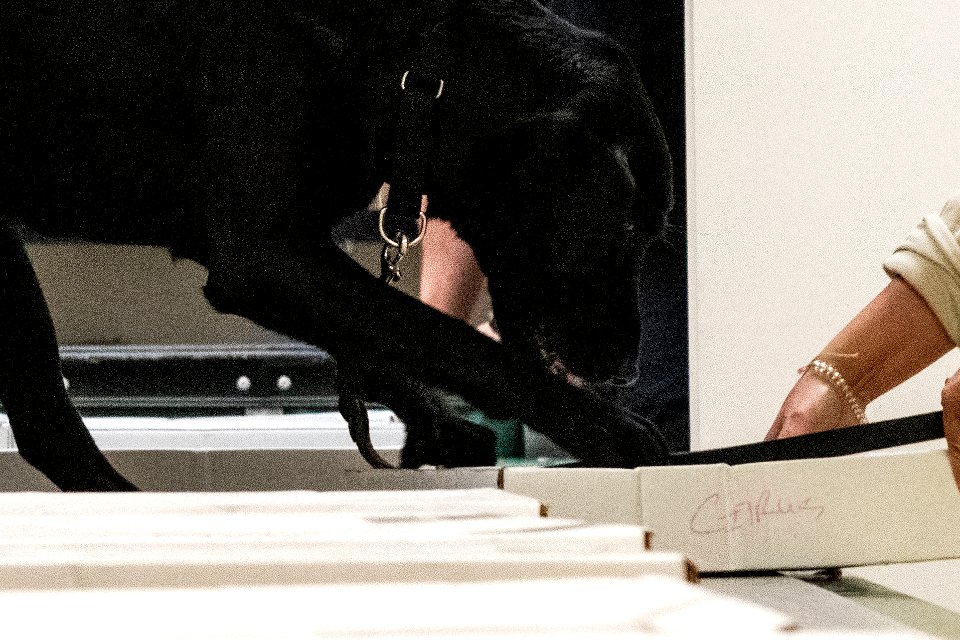 20190405-OSEC-LSC-0592