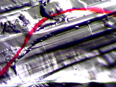 new water rosedale trippy-20170422232653