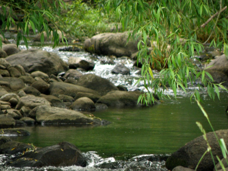 Cascading Water
