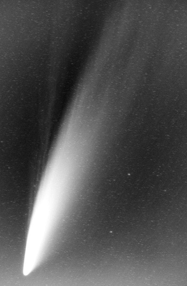 Comet C/2020 F3 (Neowise)