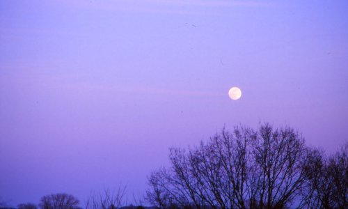 moon rising