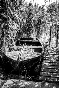 lone rowboat photo