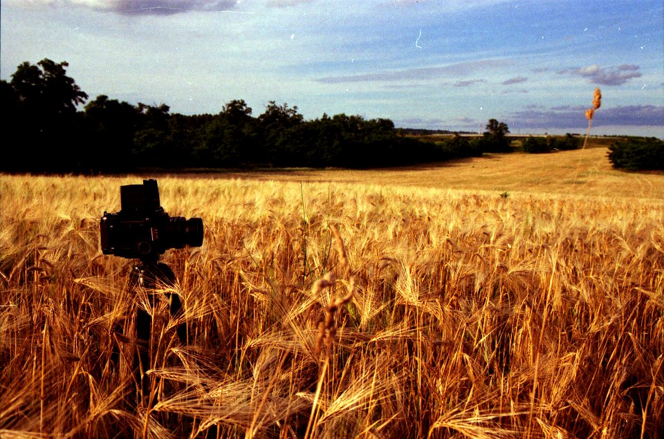 Mamiya on the field