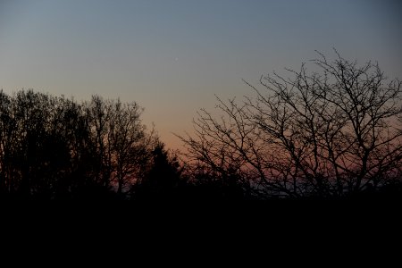 Venus in der Morgendämmerung