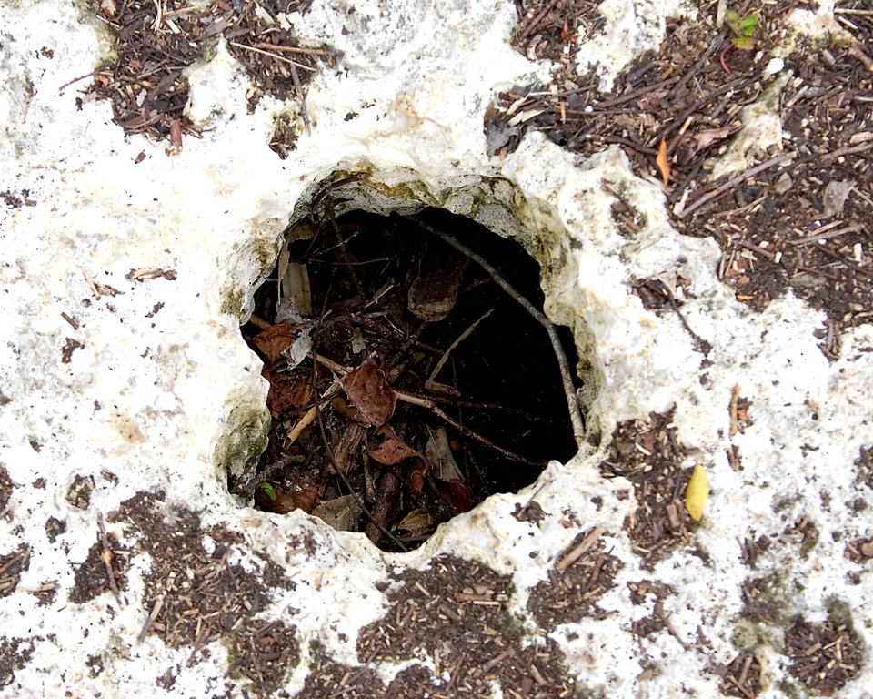 Solution Hole, NPS Photo, Rodney Cammauf