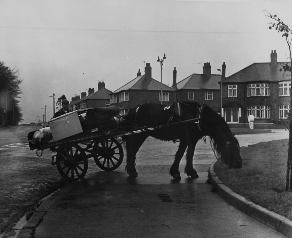 Tor972, Torday's Tyneside
