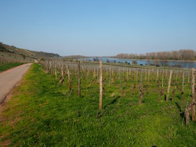 Radtour Basel-Amserdam