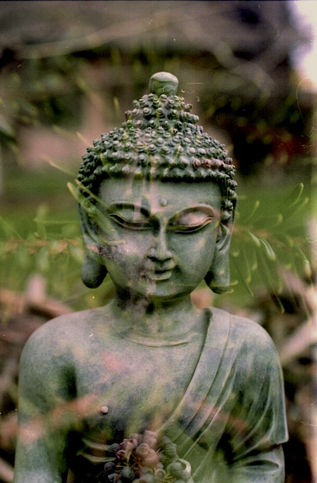 Be your Heart and the mind will follow