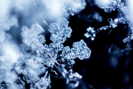 Snowflake macro
