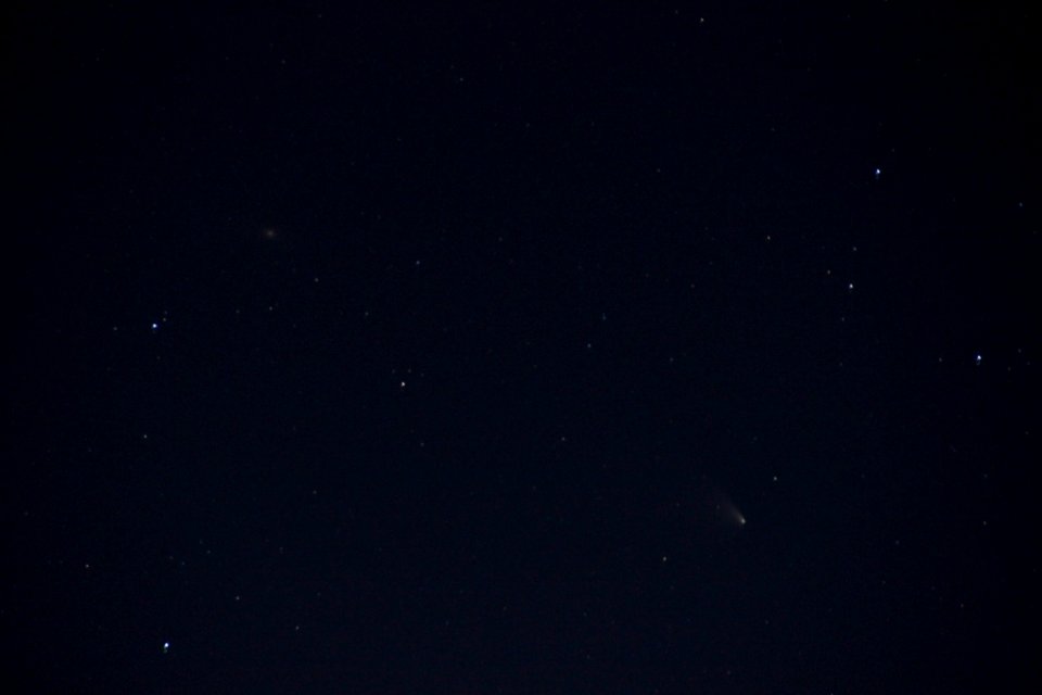 Komet Panstarrs am Morgenhimmel