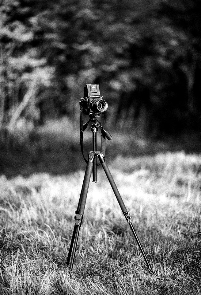 the Mamiya is out, something's coming :) photo