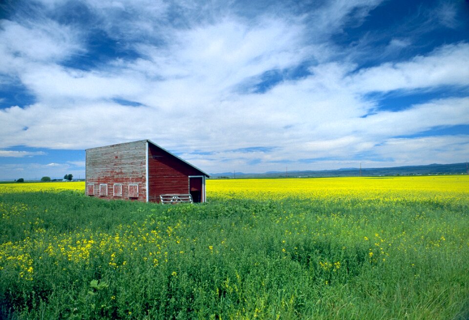 Sky rural landscape