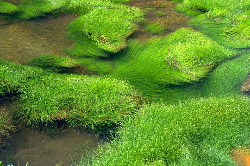 Landscape water ecology