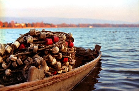 Fishing boat at the Öreg Tó / Halászcsónak az Öreg tavon photo