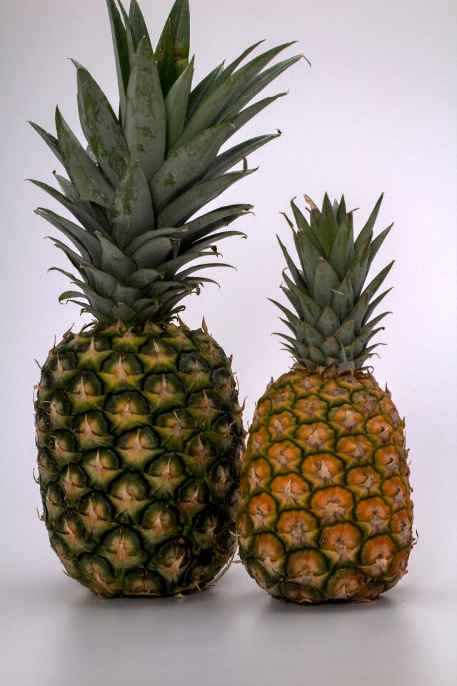 Fruits pineapple tropical fruits