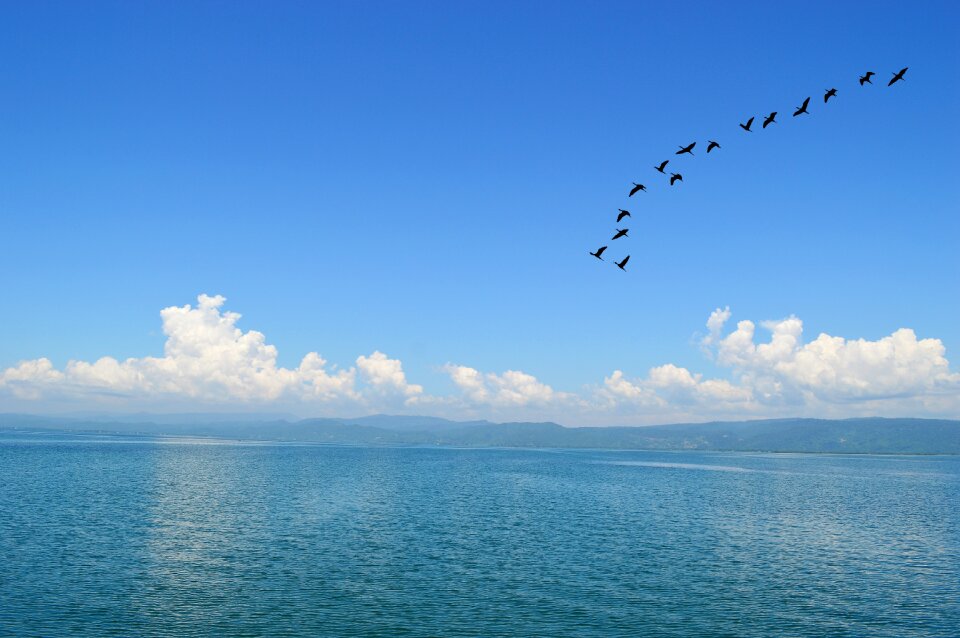 Nature fly landscape