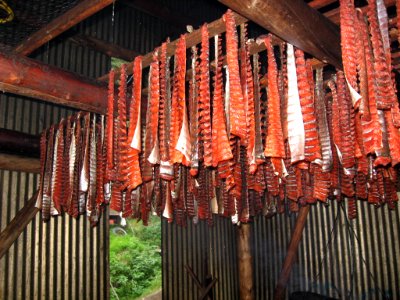Edibles from Fall Chum Salmon