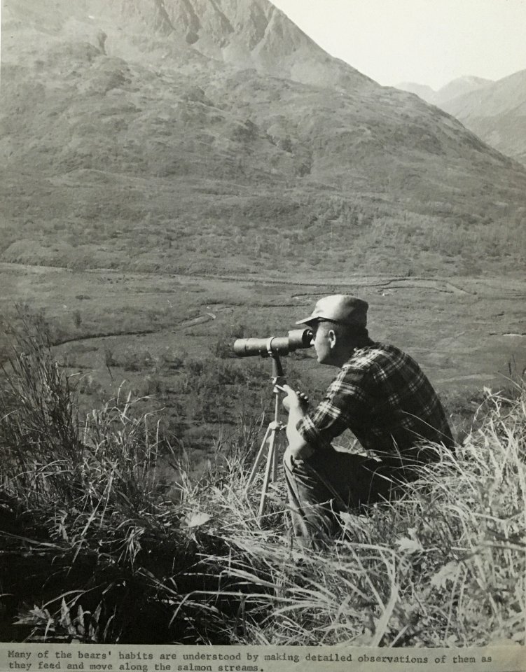 Observing bears on salmon streams, 1966