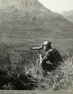 Observing bears on salmon streams, 1966