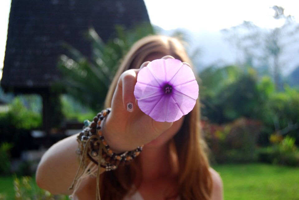 Flower garden purple
