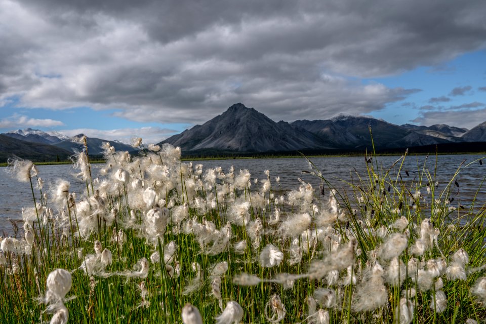 Arctic Refuge - Sheenjek River