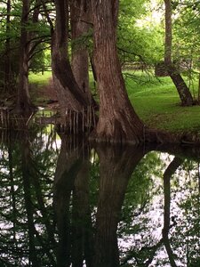 Nature reflection river photo