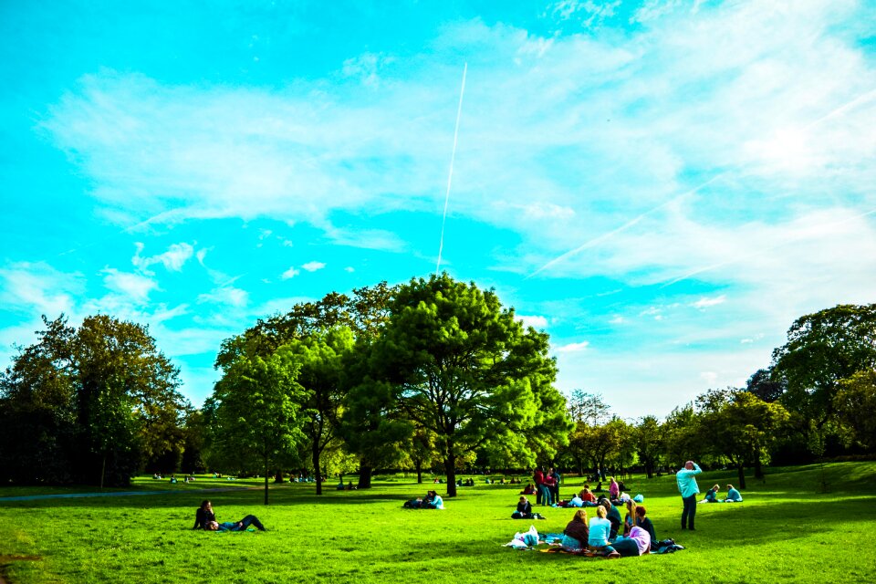 St james' park sky wood