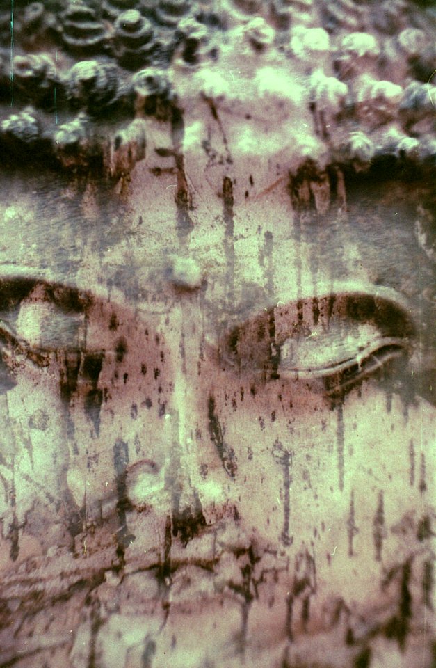 Buddha over white birch