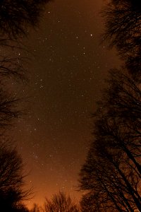 in the dark near Esztergom