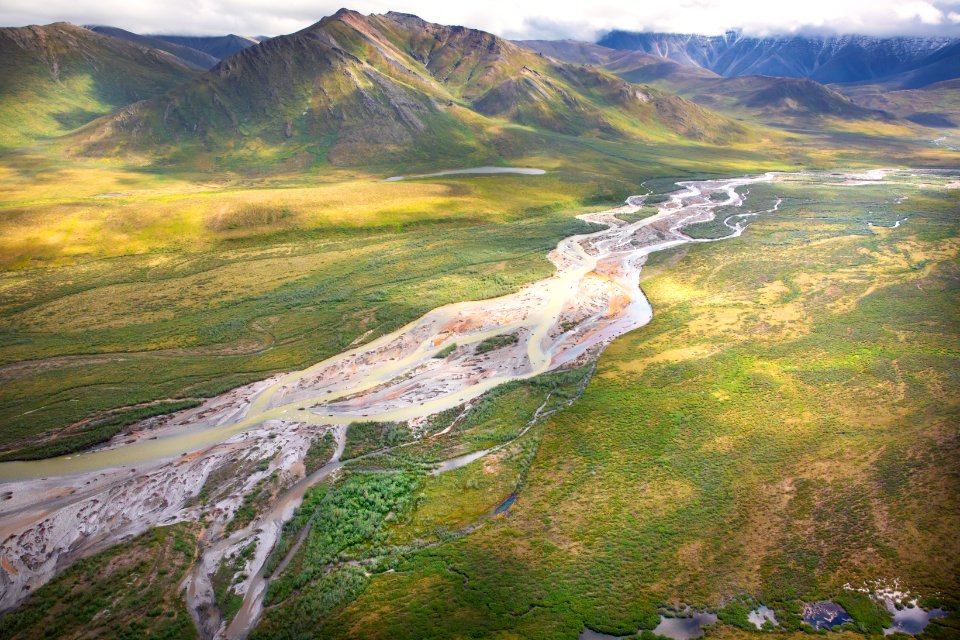 Arctic Bird Fest 2019
