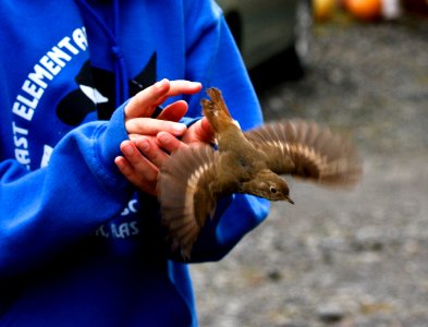 2012-Kodiak-Serve