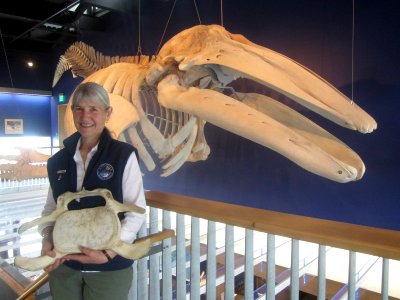 Stacy and the whale