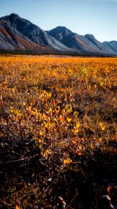 Fall foliage at Last Lake