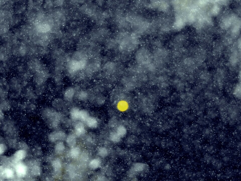 Dark shining moon