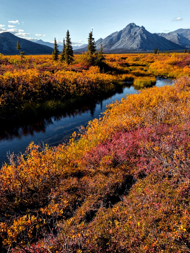 Fall foliage at Last Lake