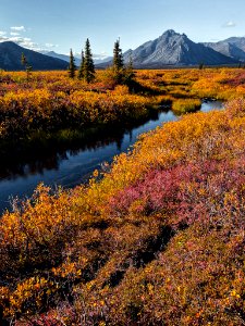 Fall foliage at Last Lake