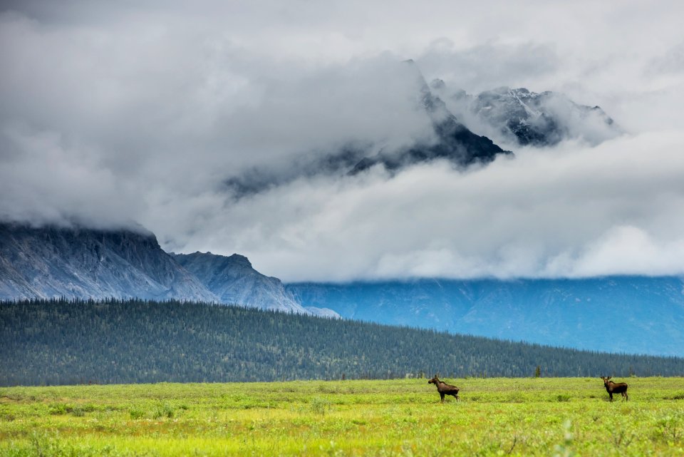 Arctic Refuge - Sheenjek River