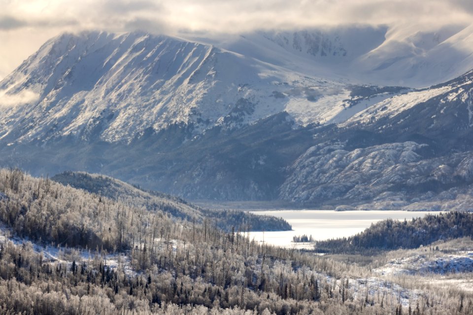 Frosty winter landscape