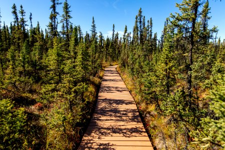 Deadman Lake Campground boardwalk photo