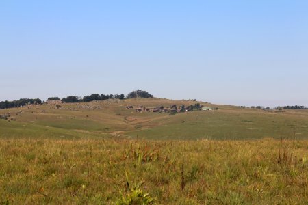 Swaziland