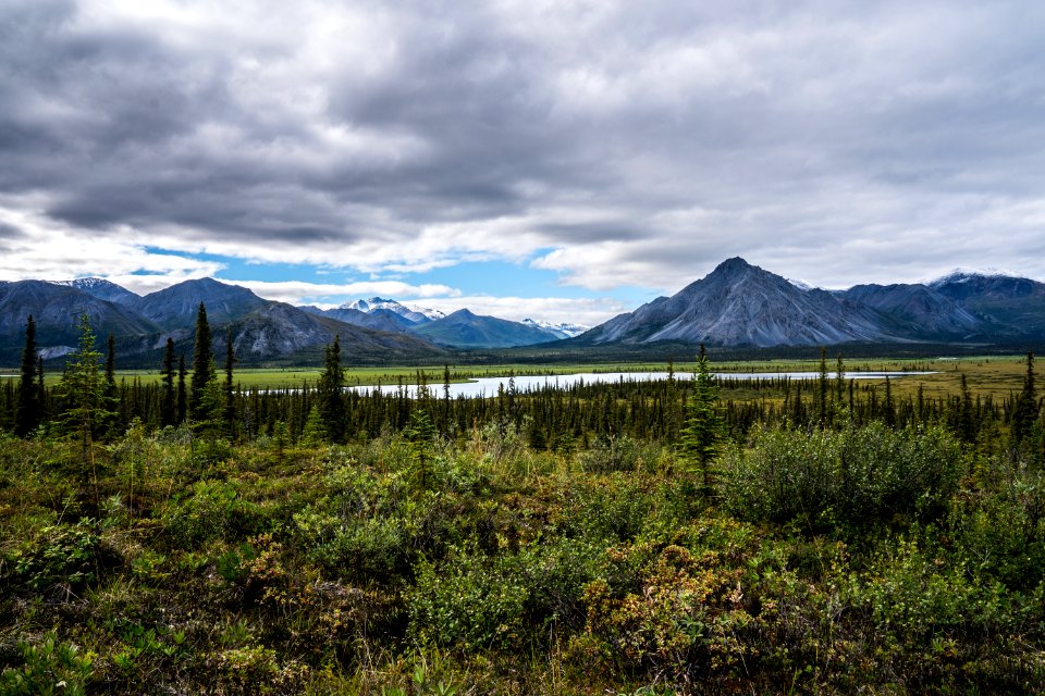 Arctic Refuge - Sheenjek River