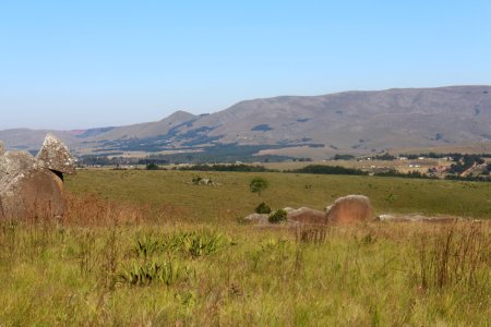 Swaziland