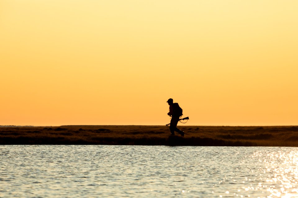Biologist searches for bird nests - Arctic Bird Fest 2019