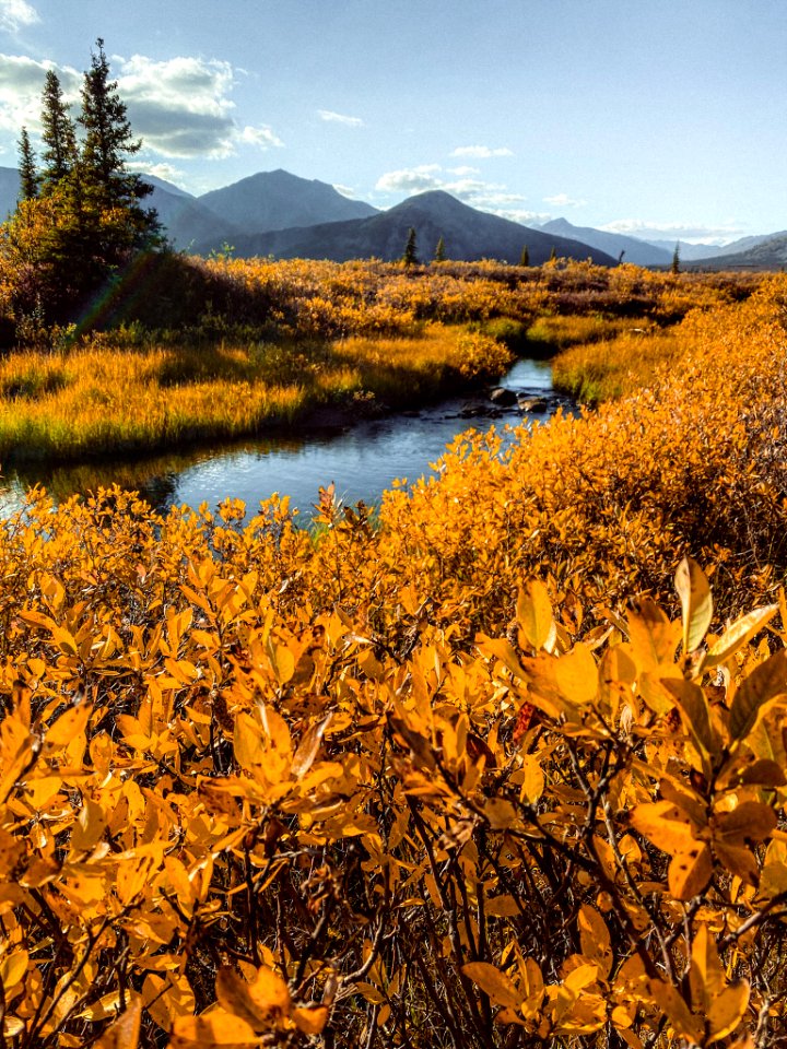 Fall foliage at Last Lake
