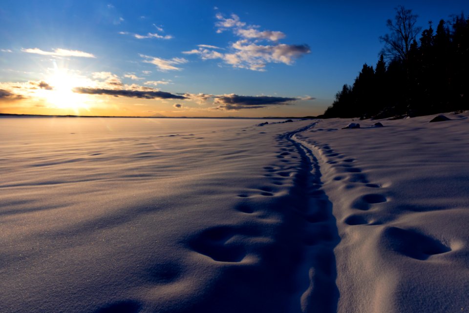 Ski track at sunset.