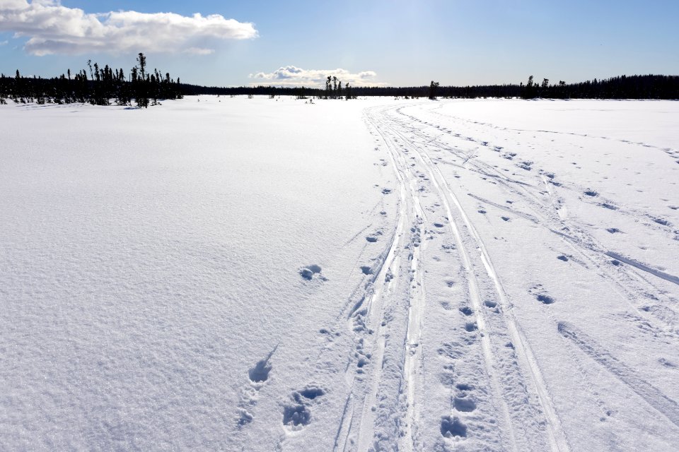 Ski trails at Headquarters Lake, Kenai National Wildlife Refuge.